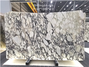 Calacatta Viola Marble Slabs,Breccia Viola Marble