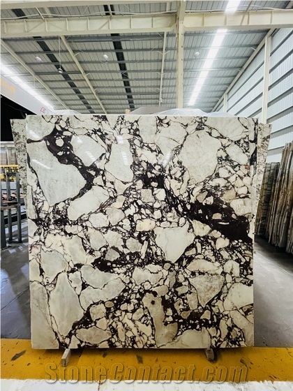 Calacatta Viola Marble Slabs,Breccia Viola Marble