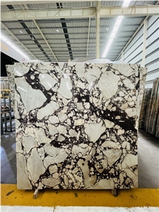 Calacatta Viola Marble Slabs,Breccia Viola Marble