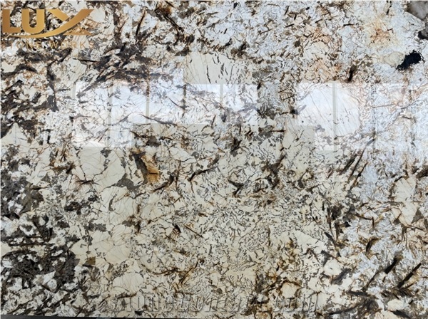 Splendor Gold Granite Slabs, Splendour Gold Granite
