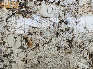 Splendor Gold Granite Slabs, Splendour Gold Granite