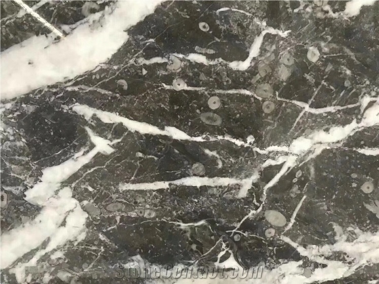 Turkey Gray Marble Slabs, Tesla Grey Marble Slabs For Floor