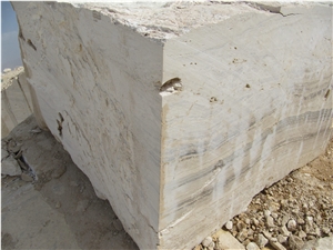 Brown Traonyx ABD Blocks