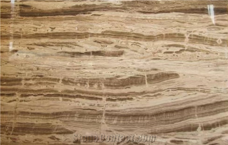 Brown Traonyx SAT Blocks