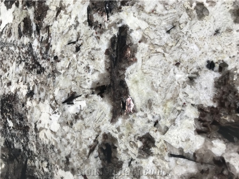Luxury Stone Splendor White Granite