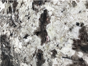Luxury Stone Splendor White Granite