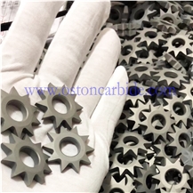 Interchangeable Tungsten Carbide Bush Hammer Sawtooth Cutter
