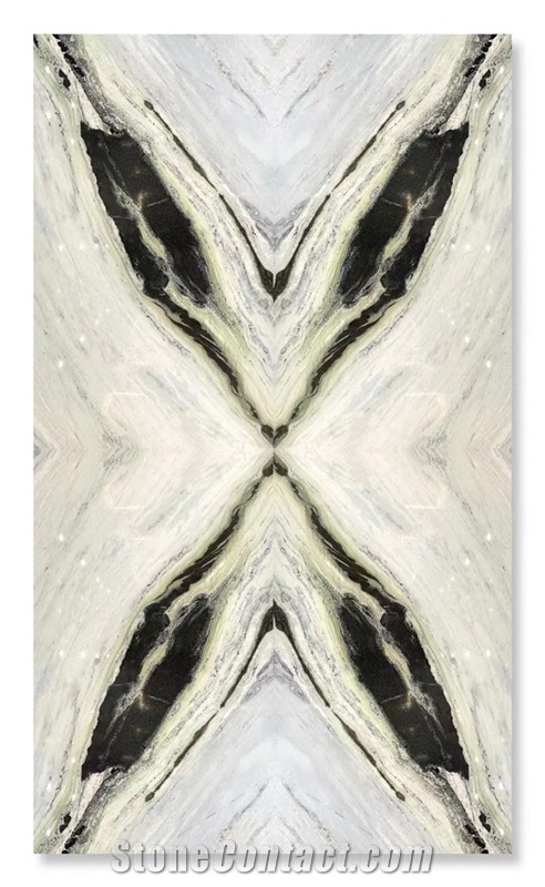 Bookmatched Black White Blue Galaxy Quartzite Pattern