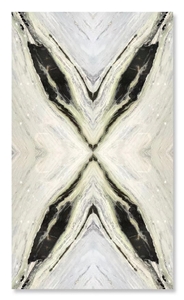 Bookmatched Black White Blue Galaxy Quartzite Pattern