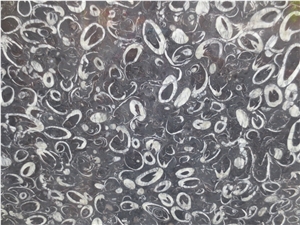 Peacock Eye Marble Sea Shell Marble Slab Supplier Peacock Eye Marble Sea Shell Marble Slab Supplier