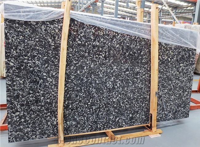 Peacock Eye Marble Sea Shell Marble Slab Supplier