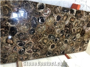 Petrified Wood Stone Slab-Semiprecious Stone
