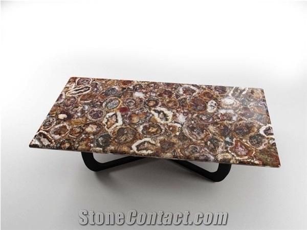 Petrified Wood Stone Slab-Semiprecious Stone
