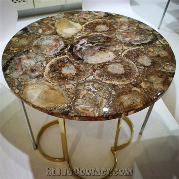 Petrified Wood Stone Slab-Semiprecious Stone