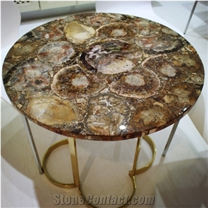 Petrified Wood Stone Slab-Semiprecious Stone