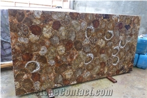 Petrified Wood Stone Slab-Semiprecious Stone