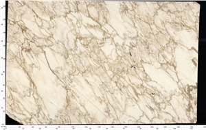 New Calacatta Oro Marble Slabs Calacatta Gold Marble