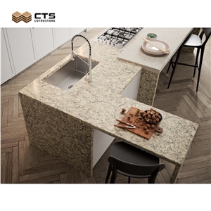 Kitchen Countertop High Quality Best Price Polish Customize