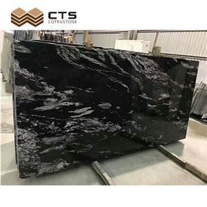 Black Granite White Snow Flower Veins Exotic Fancy Nature