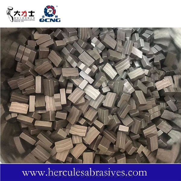 Diamond Cutting Segment Manufacturer