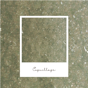 Sea Grass Limestone - Rustic Green Limestone Slabs