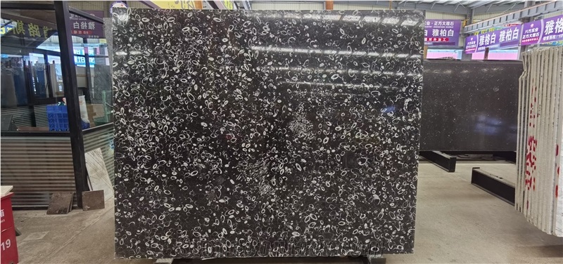 China Peacock Eye Marble Sea Shell Black Slab Tile