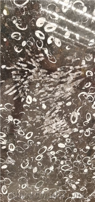 China Peacock Eye Marble Sea Shell Black Slab Tile