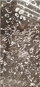 China Peacock Eye Marble Sea Shell Black Slab Tile
