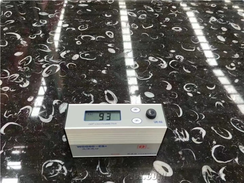 China Peacock Eye Marble Sea Shell Black Slab Tile