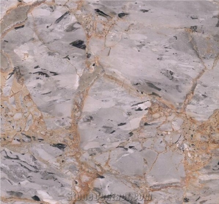 Turkey Dora Gold Marble Spider Could Versace Slab Wall Tile