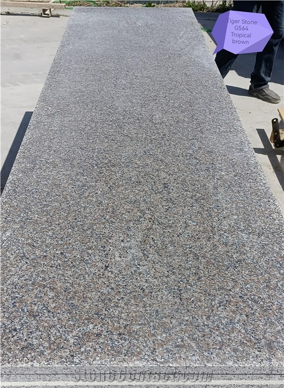 G564 Granite Kitchen Countertop