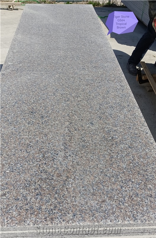G564 Granite Kitchen Countertop