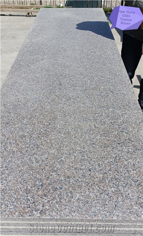 G564 Granite Kitchen Countertop