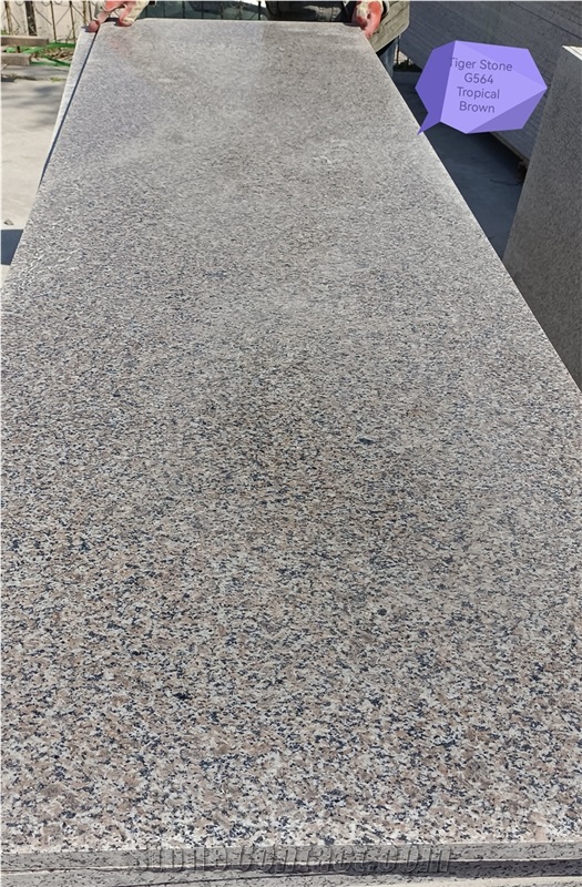 G564 Granite Kitchen Countertop