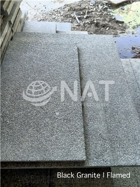 Vietnam Black Granite Flamed Granite Exterior Paving