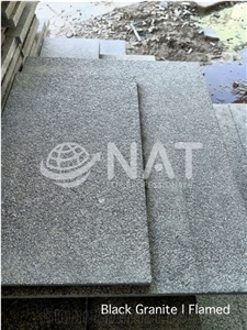 Vietnam Black Granite Flamed Granite Exterior Paving