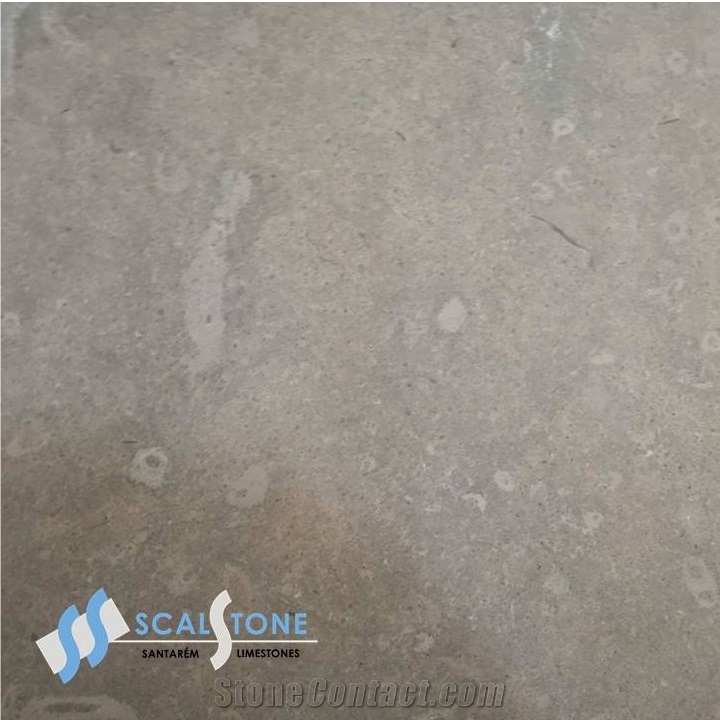 Azul Valverde Limestone Tiles & Slabs
