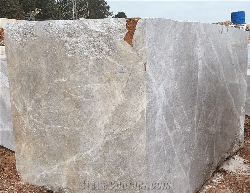 Aris Silver Marble Blocks