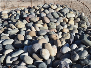 Mixed Pebble Stone