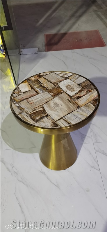 Petrified Wood Semiprecious Stone Round Table Tops
