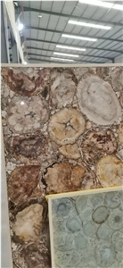 Petrified Wood Semiprecious Stone Round Table Tops