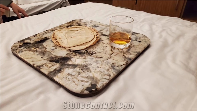 Petrified Wood Semiprecious Stone Round Table Tops