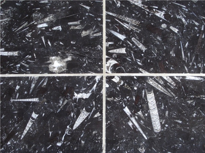 Pietra Di Erfoud Fossil Black- Brown Fossil Marble-Fossilized Marble Tiles, Slabs