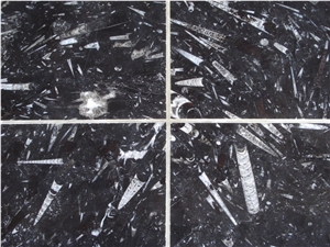 Pietra Di Erfoud Fossil Black- Brown Fossil Marble-Fossilized Marble Tiles, Slabs