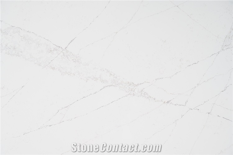 Mix Color Quartz Slab With Super White Background