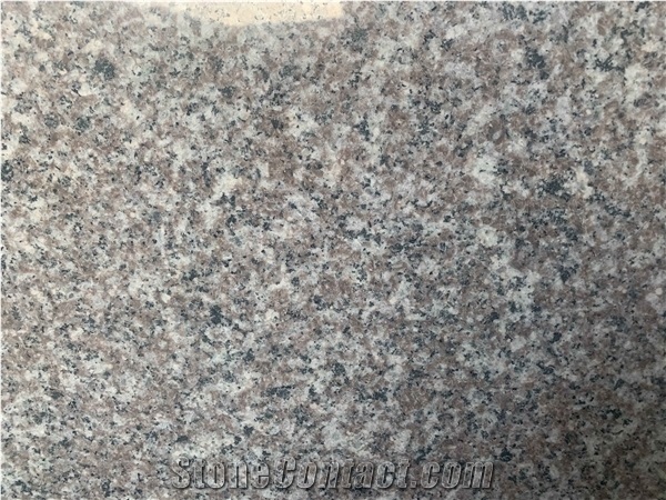 Customer Size, G664 Luoyuan Old Quarry Big Slabs & Tiles