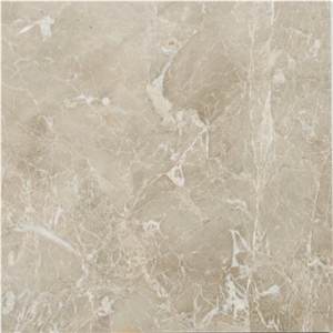 Coastal Gray Marble Slabs, Tiles