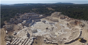 Cafe Latte Dark Marble Quarry