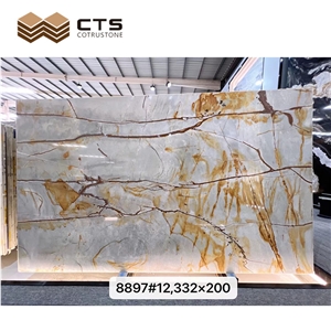 Roman Impression Quartzite Slabs White Background Gold Veins