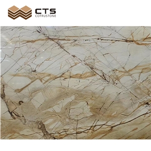 Roman Impression Quartzite Slabs White Background Gold Veins
